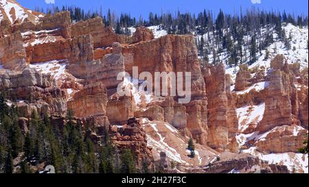 SCHNEE AUF WÄLDERN KNOLL AM CEDAR CANYON HIGHWAY (RTE 14) IN DER NÄHE VON CEDAR BREAKS NATIONAL MONUMENT IN UTAH Stockfoto