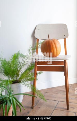 Moderne Wohnzimmereinrichtung mit gemütlichem Stuhl, Kürbis darauf und Topfblumen auf dem Boden. Stockfoto