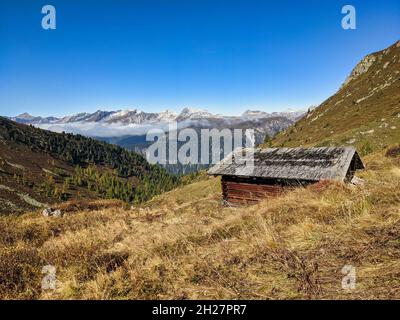 Alter Bauernkopf auf der Alp-Wiese oberhalb von monstein davos. Wunderschöne Wanderlandschaft in der schweiz. Herbstzeit Stockfoto