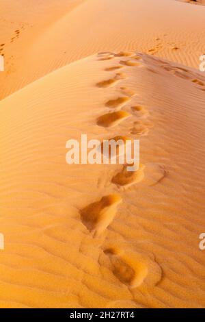 Menschliche Fußabdrücke in den Sanddünen von Sharqiya Wahiba Sands, Oman Stockfoto