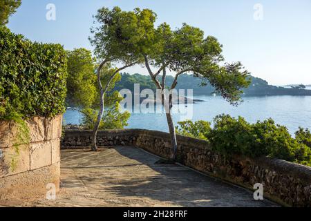 Schöne mallorquinische Landschaft mit einem Fußweg entlang der Küste, Mallorca, Spanien Stockfoto