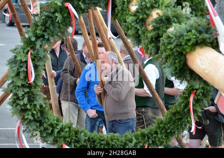 Maibaum-Aufstellungen in Steinbach, Attersee (Bezirk Vöcklabruck, Oberösterreich, Österreich) - ein Maibaum ist ein geschmückter Baum oder Baumstamm, der Stockfoto