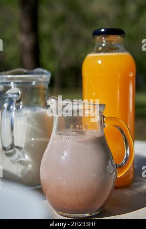 KRUG MILCH UND SCHOKOLADENMILCH UND EINE FLASCHE ORANGENSAFT ZUM FRÜHSTÜCK IM GARTEN IM URLAUB. HINTERGRUND DES BEWALDETEN PARKS AUSSER FOKUS Stockfoto
