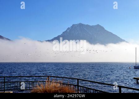 Herbstlicher Nebel über dem Traunsee, im Hintergrund der Traunstein, Österreich, Europa - Herbstnebel über dem Traunsee, im Hintergrund die Traunste Stockfoto