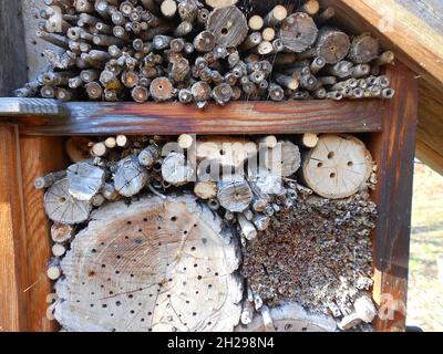 Ein Nützlingshotel in Österreich, Europa - Nützliches Insektenhotel in Österreich, Europa Stockfoto