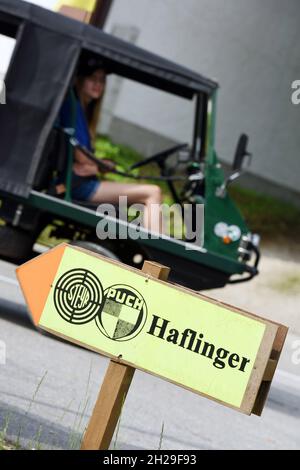 Treffen von Steyr-Puch Haflinger Geländewagen in Bad Ischl, Österreich, Europa - Treffen der Steyr-Puch Haflinger Geländewagen in Bad Ischl, Austr Stockfoto