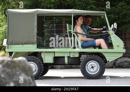 Treffen von Steyr-Puch Haflinger Geländewagen in Bad Ischl, Österreich, Europa - Treffen der Steyr-Puch Haflinger Geländewagen in Bad Ischl, Austr Stockfoto