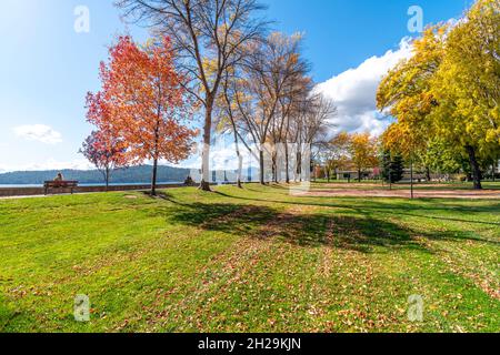 Autumn fall colors on the trees at the City Park along the lake and beach at downtown Coeur d'Alene, Idaho, USA. Stockfoto