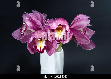 Hübsche, lavendelrosa Cymbidium Clarisse Orchid, auch bekannt als Boat Orchid, in einer Vase, die auf einem schwarzen Hintergrund in Nahaufnahme isoliert ist. Wunderschön f Stockfoto