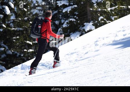 Schitoureneher auf dem Kasberg (Bezirk Gmunden, Oerreich, Österreich) - Skitourengeher auf dem Kasberg (Kreis Gmunden, Oberösterreich, Österreich) Stockfoto