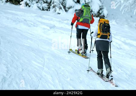 Schitoureneher auf dem Kasberg (Bezirk Gmunden, Oerreich, Österreich) - Skitourengeher auf dem Kasberg (Kreis Gmunden, Oberösterreich, Österreich) Stockfoto