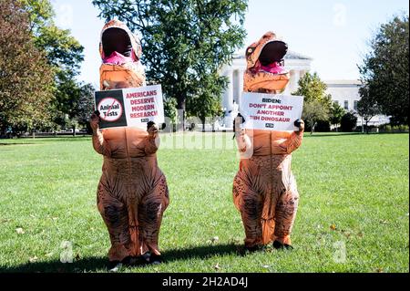 Washington, Usa. Oktober 2021. Demonstranten, die in Dinosaurier-Kostümen gekleidet sind, halten während der Demonstration Plakate.Demonstration, die von PETA (People for the Ethical Treatment of Animals) für die Ernennung eines neuen NIH (National Institutes of Health)-Direktors organisiert wurde, der gegen Tierversuche ist. Die Demonstranten verkleideten sich als Dinosaurier und trugen Schilder mit der Aufschrift „Biden: Ernennen Sie keinen weiteren NIH-Dinosaurier“ und „Amerika verdient moderne Forschung“. Kredit: SOPA Images Limited/Alamy Live Nachrichten Stockfoto