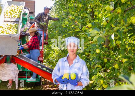 Frau, die mit einem Haufen Äpfeln auf der Plantage steht Stockfoto