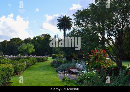 Gartenbetten im Centennial Park, Sydney Stockfoto