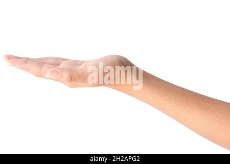 Leere weibliche Hand in Nahaufnahme, die Geste isoliert auf weißem Hintergrund hält. Stockfoto