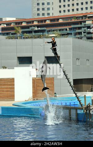 Ozeanographisches Delfinarium von Valencia, Bundesland Valencia, Spanien Stockfoto