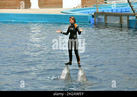 Ozeanographisches Delfinarium von Valencia, Bundesland Valencia, Spanien Stockfoto