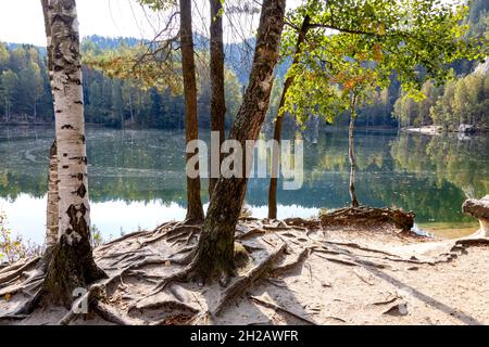 skalni mesto, Adrspach, Adrspasske skaly (narodni prir. Pamatka), Ceska republika / Felsenstadt Adrspach, Tschechische republik - Überreste einer Felsenstadt in Adrsp Stockfoto