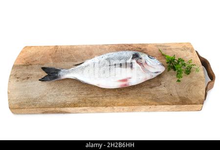 In vergoldeten Kopf Brassen vor weißem Hintergrund Stockfoto