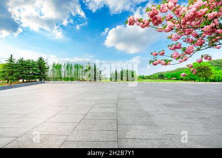 Leerer quadratischer Boden und grüne Bäume im Naturpark. Stockfoto