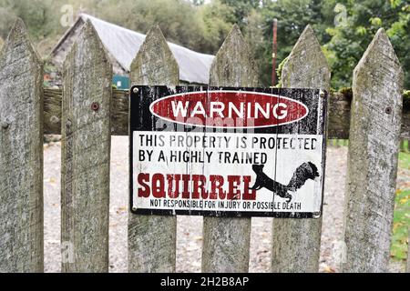 Warnung vor Eichhörnchen in Schottland. Schild auf einem Holzzaun. Stockfoto