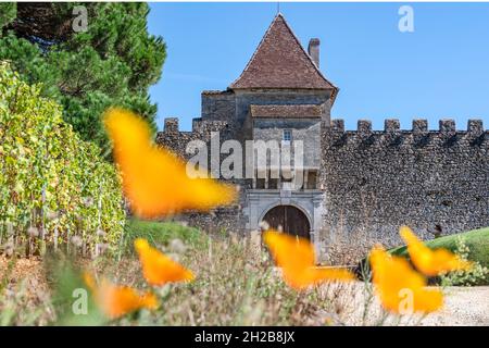 Château d'Yquem in Sauternes ist eines der exquisitesten... und... kostspieligsten Weingüter der Welt für Frankreich Stockfoto