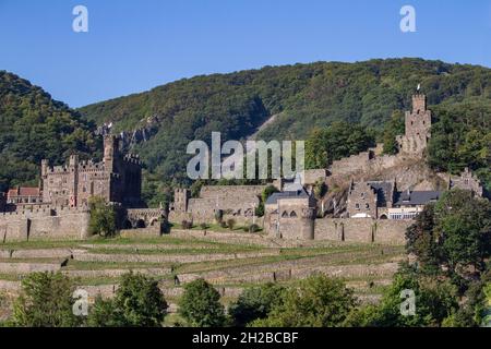 Schloss Reichenstein am oberen Mittelrhein bei Trechtingshausen Stockfoto