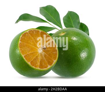 Calamansi oder Grüne orange Früchte isoliert auf weißem Hintergrund Stockfoto