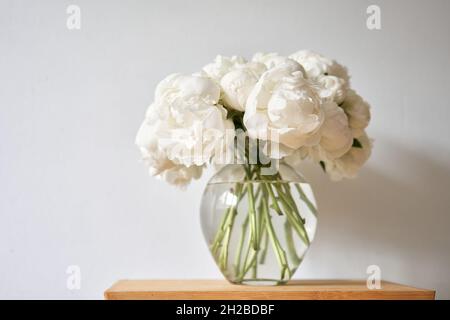 Weiße Pfingstrosen in einer Glasvase. Schöne Pfingstrose Blume für Katalog oder Online-Shop. Blumengeschäft Konzept . Schönes, frisch geschnittenes Bouquet. Lieferung von Blumen Stockfoto