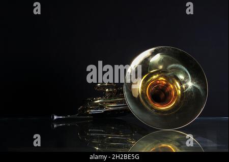 Goldenes französisches Horn mit weichem Licht isoliert auf schwarzem Hintergrund Stockfoto