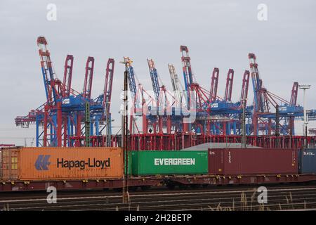 Hamburg, Deutschland. Oktober 2021. Auf den Gleisen am Waltershof im Hamburger Hafen stehen Züge mit Containern. Im Hintergrund sind die Container-Portalkrane der Eurogate-Terminals zu sehen. Kredit: Marcus Brandt/dpa/Alamy Live Nachrichten Stockfoto