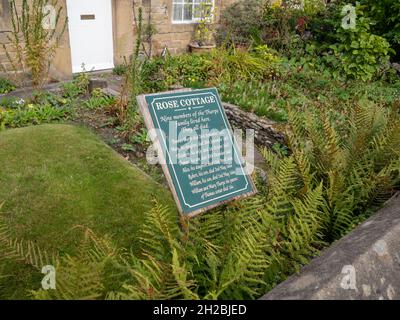 Information Board vor einem bunten Bauerngarten im Sommer in einem der so genannten Pest Cottages, Eyam, Derbyshire, Großbritannien Stockfoto