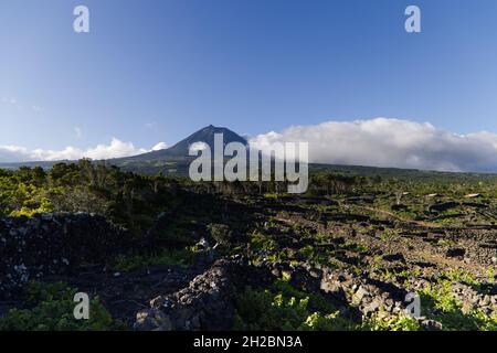 Typische Landschaft der Insel Pico mit dem Berg Pico im Hintergrund, Azoren Stockfoto