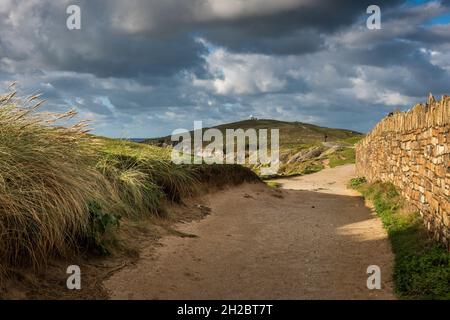 Marram Grass Ammophila arenaria wächst auf dem Küstenpfad, der zum kleinen weißen Aussichtsturm auf dem Gipfel des Towan Head in Newquay in Cornwa führt Stockfoto