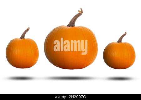 Große orange halloween Kürbisse isoliert auf einem weißen Hintergrund, schwimmend mit einem Schatten. Stockfoto