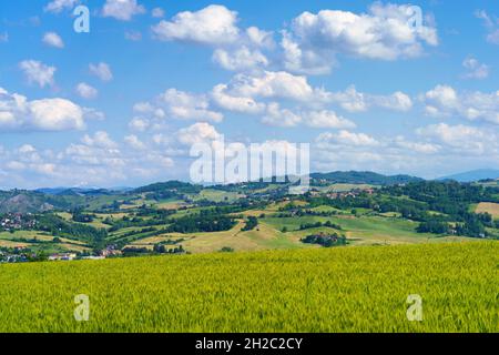 Landschaft in der Nähe der mittelalterlichen Burg von Torrechiara, Provinz Parma, Emilia-Romagna, Italien, im Frühling Stockfoto