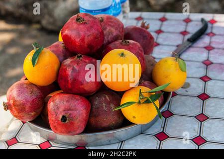 Granatapfel, Anar (Punica granatum), Granatäpfel und Orangen in einer Schüssel auf einem Schreibtisch, Truthahn Stockfoto