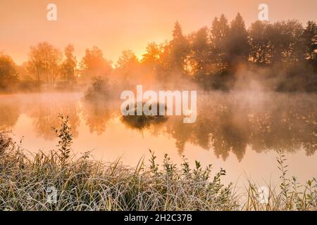 Morgenstimmung mit Reif an einem Teich im Naturschutzgebiet Wildert im Herbst, Schweiz, Illnau Stockfoto