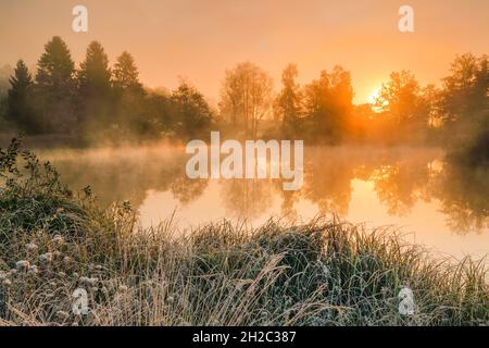 Morgenstimmung mit Reif an einem Teich im Naturschutzgebiet Wildert im Herbst, Schweiz, Illnau Stockfoto