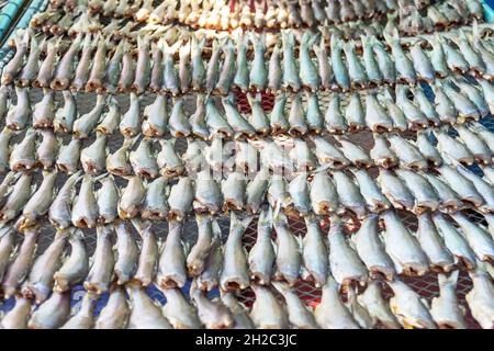 Gruppe von Meeresfischen getrocknet auf Netzen für den Verkauf an Touristen auf dem Markt. Stockfoto