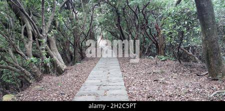 Der Taipingling Sea View Trail, New Taipei City 18. Okt. 2021, Taiwan Stockfoto