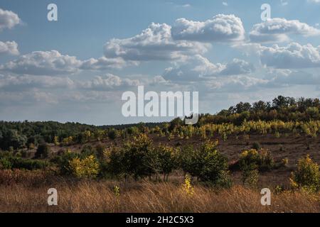 Landschaft im Frühherbst. Schöne Aussicht auf die ukrainische Landschaft. Ländliche Landschaft. Bäume, trockenes Gras, blauer Himmel und weiße Wolken. Stockfoto