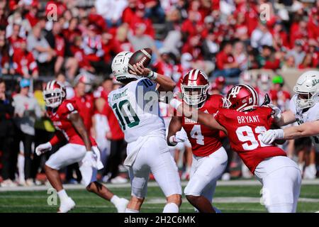 Bloomington, Usa. Oktober 2021. Cam Jones (4) der Indiana University und Alfred Bryant (92) üben während eines NCAA-Fußballspiels am 16. Oktober 2021 im Memorial Stadium in Bloomington Druck auf Payton Thorne (10) aus. (Ind IU verlor an Michigan State 20-15) Credit: SOPA Images Limited/Alamy Live News Stockfoto