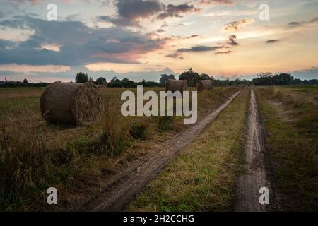 Heuballen an einem Feldweg und am Abendhimmel, Nowiny, Lubelskie, Polen Stockfoto