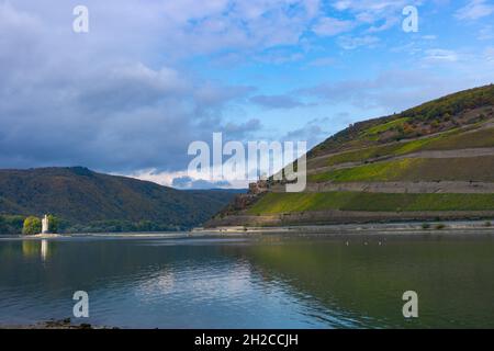 Wein und rhein in rüdesheim Stockfoto