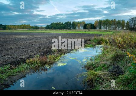 Regenwasser vor einem gepflügten Feld, Bäume am Horizont, Zarzecze, Lubelskie, Polen Stockfoto