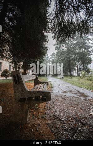 Vertikale Aufnahme eines alten leeren Holzzweiges im Park, der an einem regnerischen Tag von Bäumen umgeben ist Stockfoto