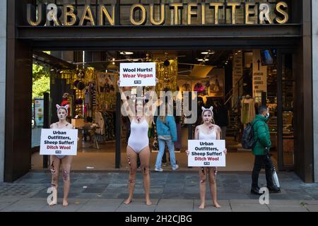 London, Großbritannien. Oktober 2021. Als blutige Schafe gekleidete PETA-Anhänger protestieren vor einer Niederlassung von Urban Outfitters in der Oxford Street, um ein Ende des Wollverkaufs zu fordern. Der Protest ist Teil einer internationalen PETA-Kampagne, die Marken wie Anthropologie und Free People von Urban Outfitters Inc dazu auffordert, den Verkauf von Materialien, die grausam von Tieren genommen wurden, einzustellen. Kredit: Mark Kerrison/Alamy Live Nachrichten Stockfoto