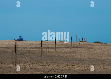 Windpause und zwei Hunde an einem einsamen Strand in Wells-next-Sea, North Norfolk. Stockfoto