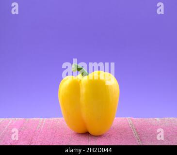 Bio hellgelbe Paprika farbenfroher Veggie auf grunge rosa Zementplatte vor blauem Hintergrund. Stillleben, Bildende Kunst, modernes Konzept. Stockfoto